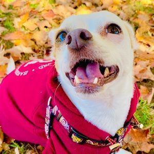 Meet your Posher, Stacia